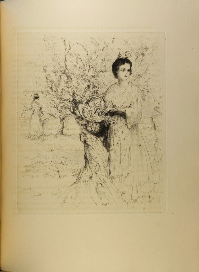 Mireille