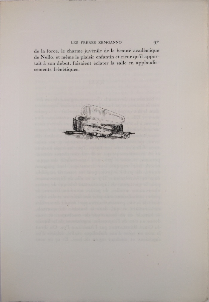 le violon et son étui