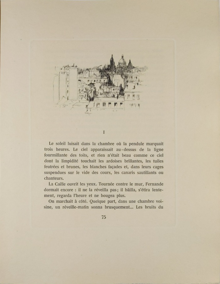 les toits de Paris depuis la chambre de la Caille